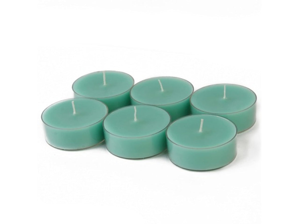 Zest Candle 12-Piece Tealight Candles, Mega Oversized Aqua s