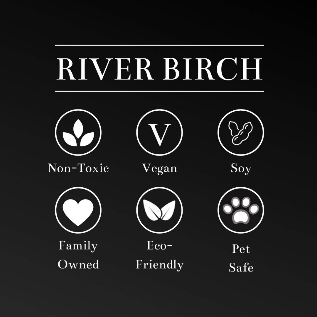 River Birch Candles Mimosa Scented Candle | Premium, All-Natural, Non-Toxic, Soy Candles | 8 oz. Black Matte Tin Travel Candle | Cozy Relaxing Gifts for Home