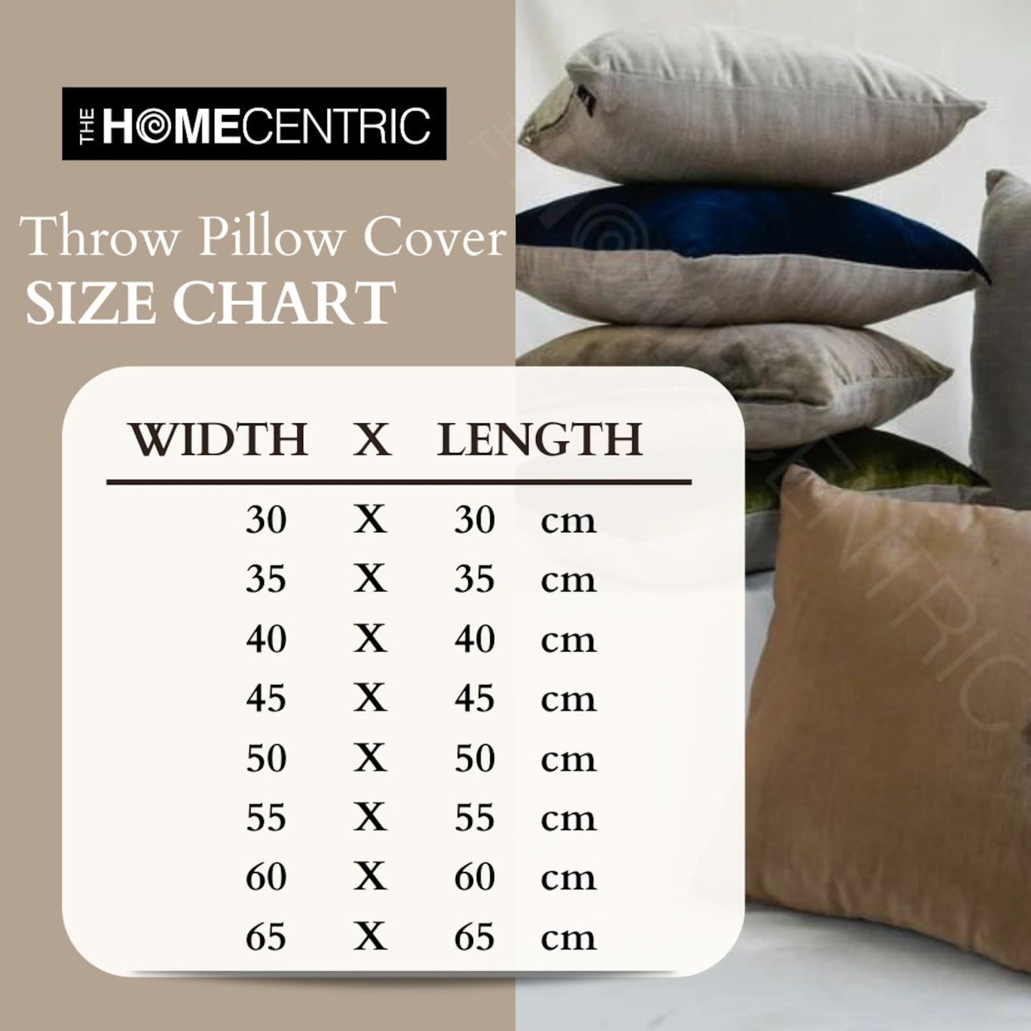 HomeCentric Royal Peacock Green Throw Pillow, 20x20 inch, Velvet Square - Solid Contemporary Design with Bead Cord