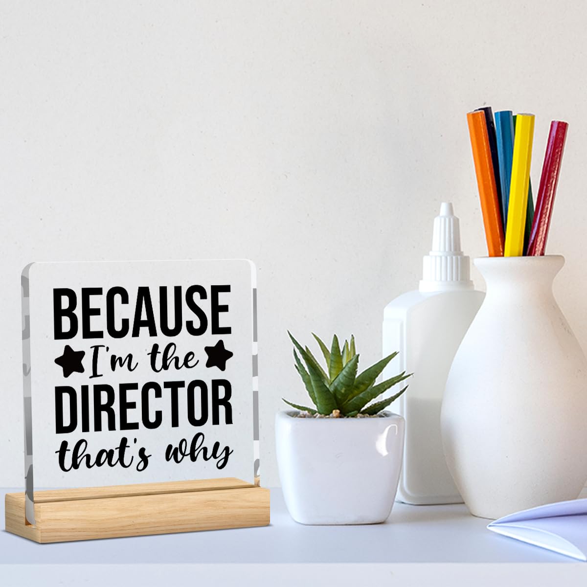 Director Gifts, Theatre Activity Director Gifts, Gifts for Director Filmmaker Day, Drama Gift Office Home Desk Shelf Decor Acrylic Sign