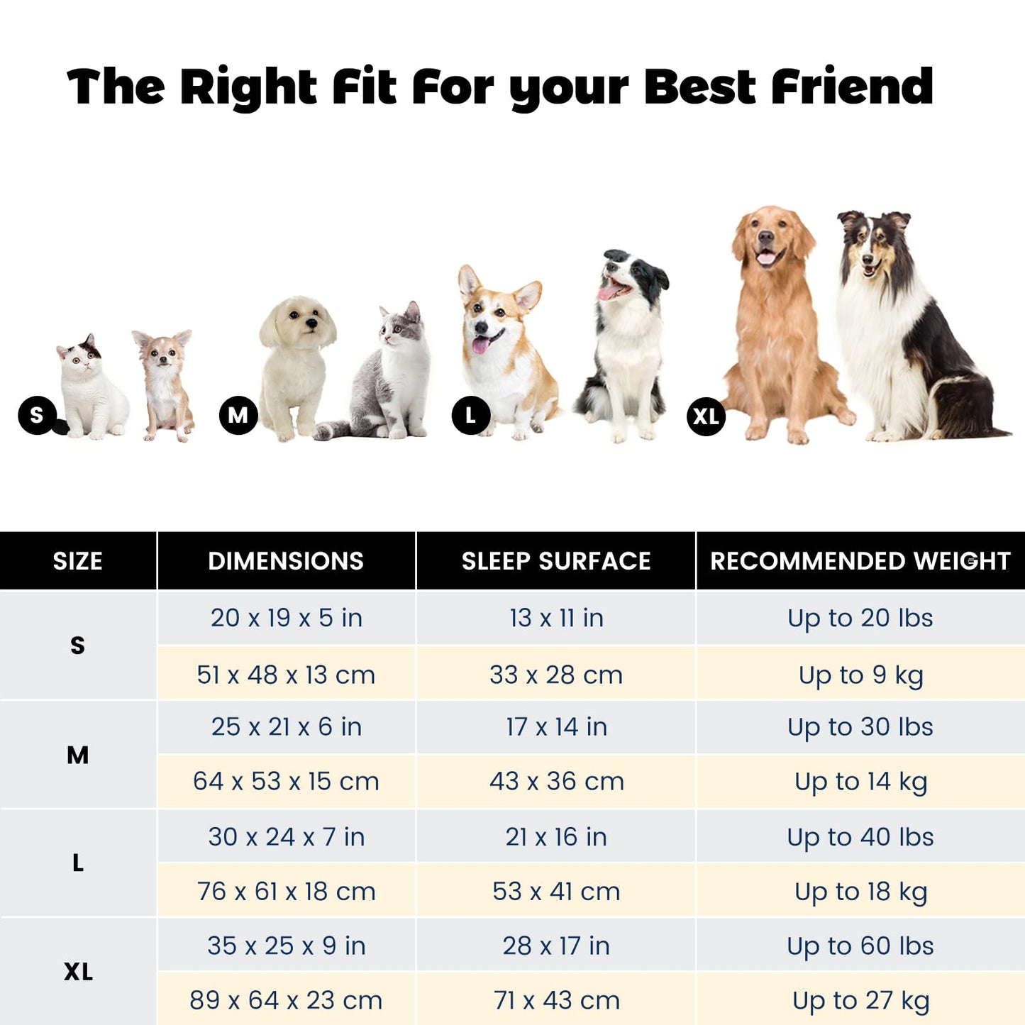 Miguel Dog Bed with Removable Cushion/Pillow for Medium Small Dogs, Washable Pet Bed with Side Easy to Wash Puppy Bed, Large Rectangle Cat Bed for Indoor Cat with Anti-Slip Bottom, Gray 35 Inch