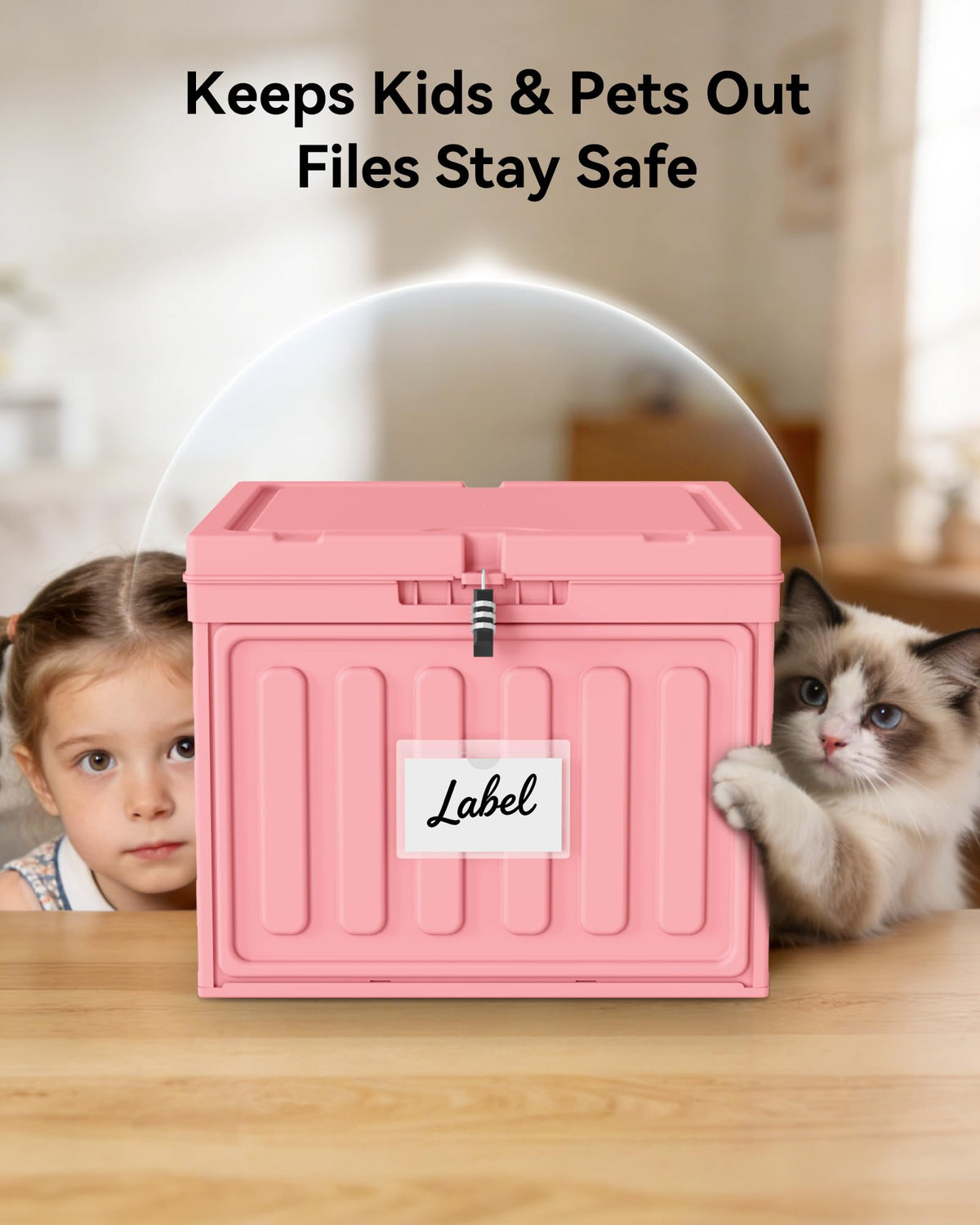 Oterri Plastic File Box with Lid for Letter Size Hanging File Folders, Hanging File Folder Box for Home, Office, School, File Cabinet, Assembly File Organizer, Pink,Large-2 Pack Without Folders