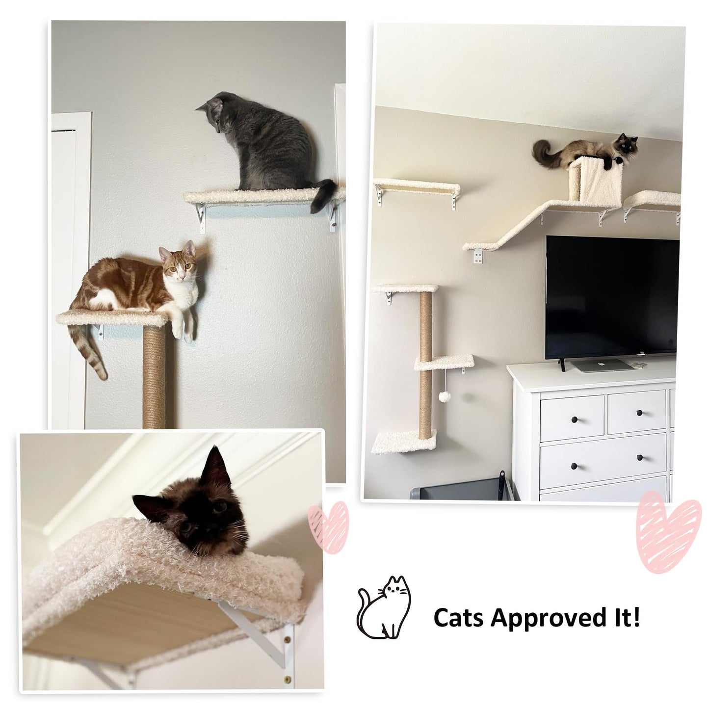 FUKUMARU Cat Wall Shelves, Stable & Safe 4 in 1 Cat Walls Furniture Set, Wooden Kitten Climbing Wall with Scratching Post for 16 Inch Drywall - Beige