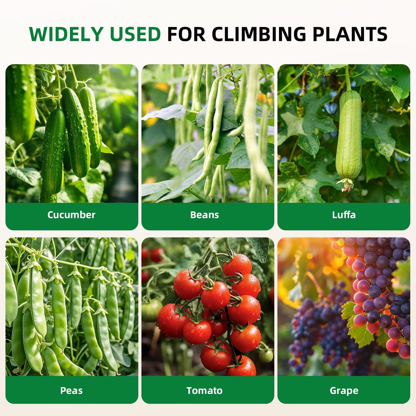 Laodier Cucumber Trellis for Raised Bed, U-Shape Garden Arch Metal Support for Climbing Plants, Metal Arch Plant Support Vegetables Trellis, Plant Support for Vine (Green, 31.5 * 30 * 47inch(L*W*H))
