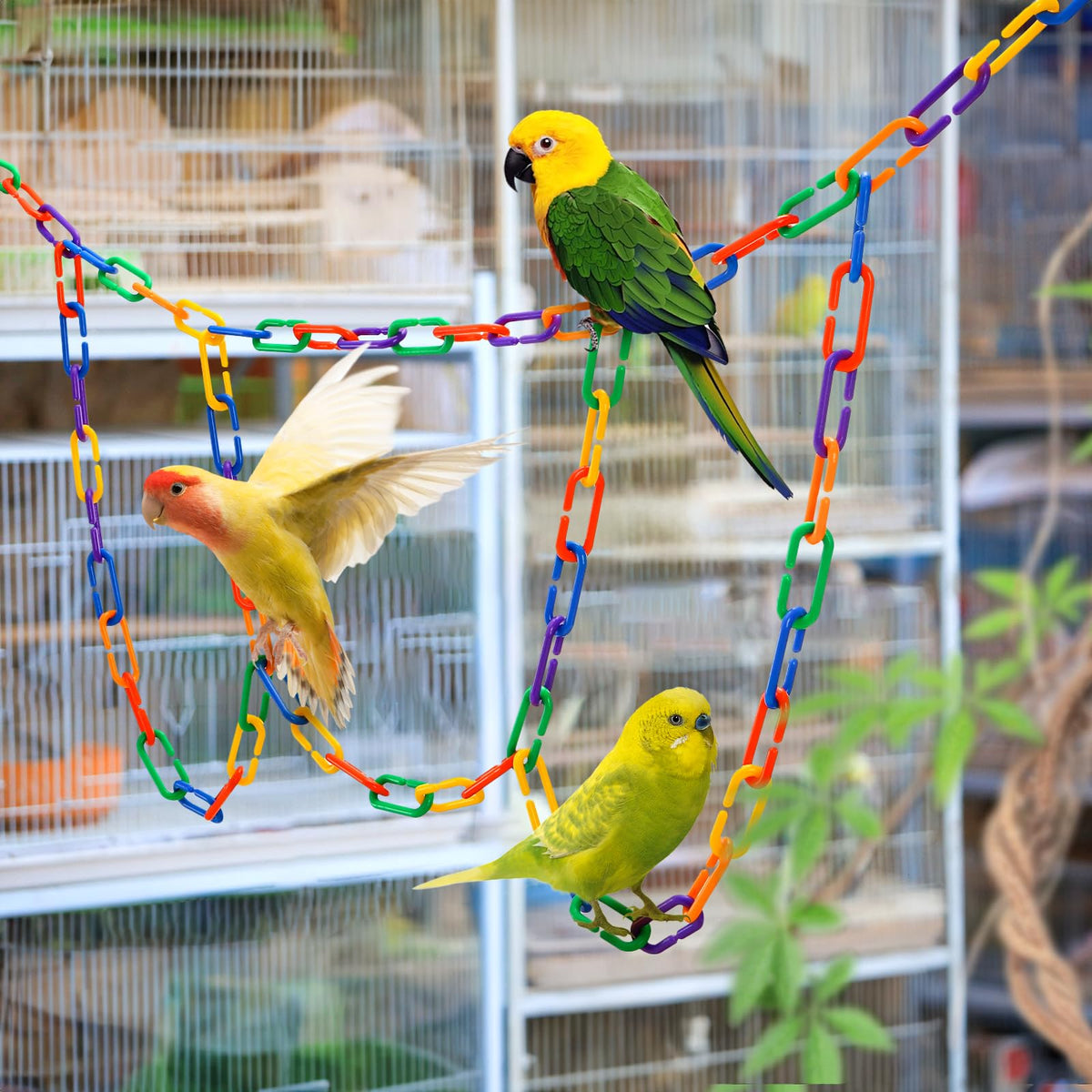 Suwimut 1000 Pieces Plastic C-Clip Hooks Chain Links, Interchangeable Rainbow C-Links Kids Learning Toys for Classroom Preschool, Sugar Glider Swing Climbing Cage Toys for Small Pet Rat Parrot Bird