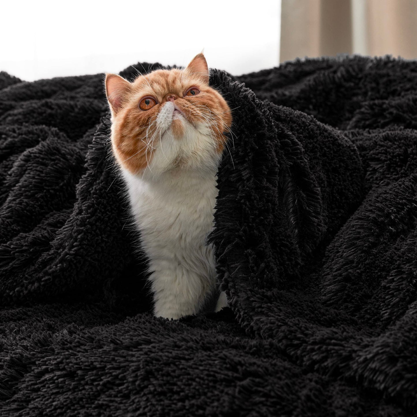 Bedsure GentleSoft Fluffy Black Blankets Queen Size for Bed, Thick Sherpa Faux Fur Fleece Fuzzy Plush Winter Warm Soft Full Queen Blankets, Bedroom Decor Black Gifts Cozy Gifts for Women Men, 90x90