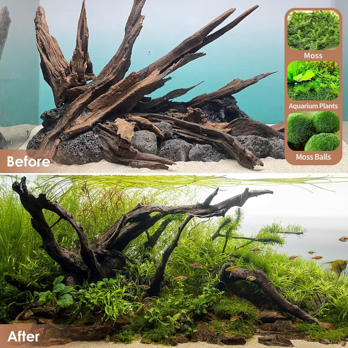 Jorewood Natural Aquarium Driftwood for Fish Tanks & Reptile Terrariums – Safe Fish Tank Decorations, Unique Twisted Branches 3-Piece 7-11 Inch Low Tannin, Easy to Sink