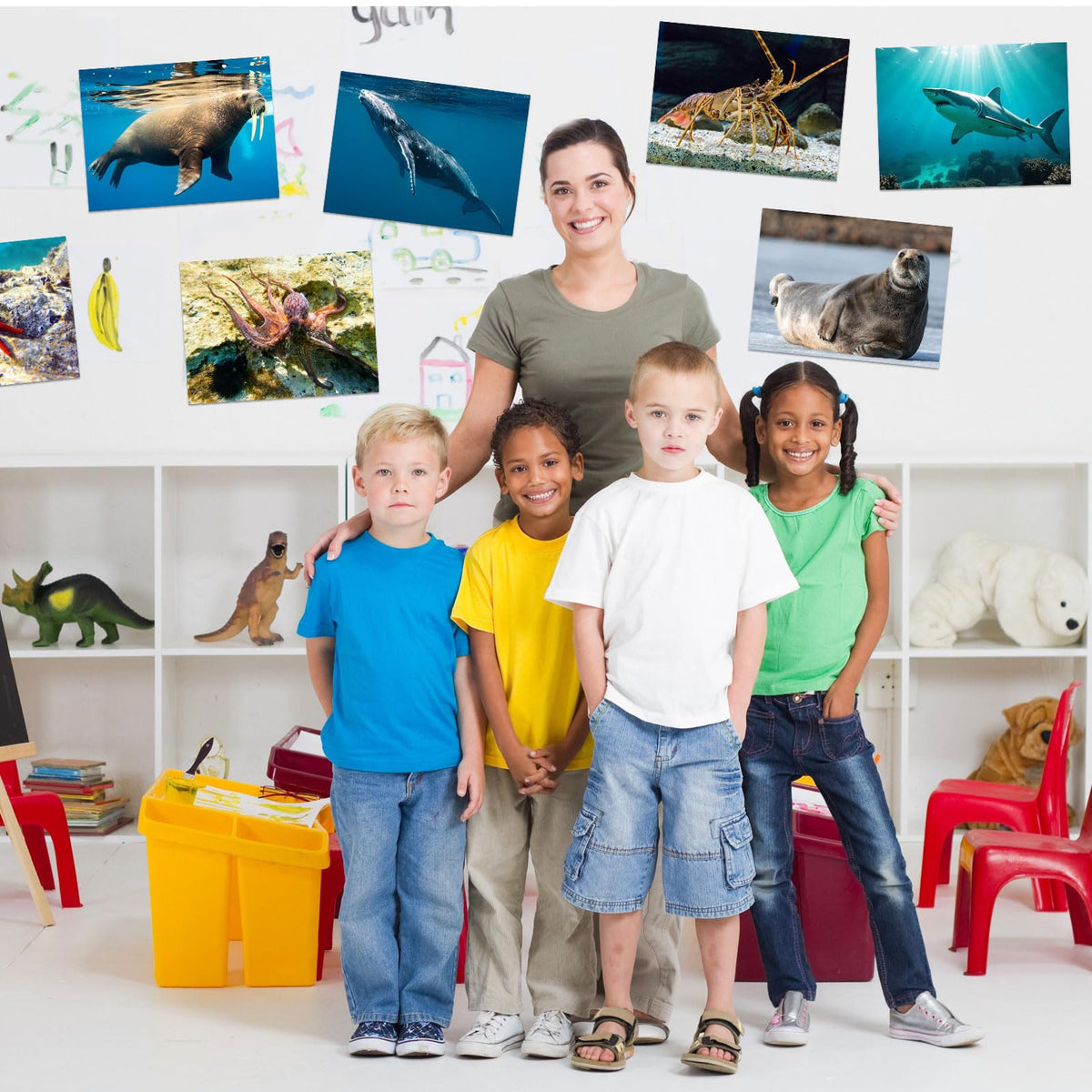 Motiskyy 12 Pcs Diversity Posters for Classroom Preschool Educational Learning Real Pictures for Daycare Home Multicultural Awareness(Ocean Animals)