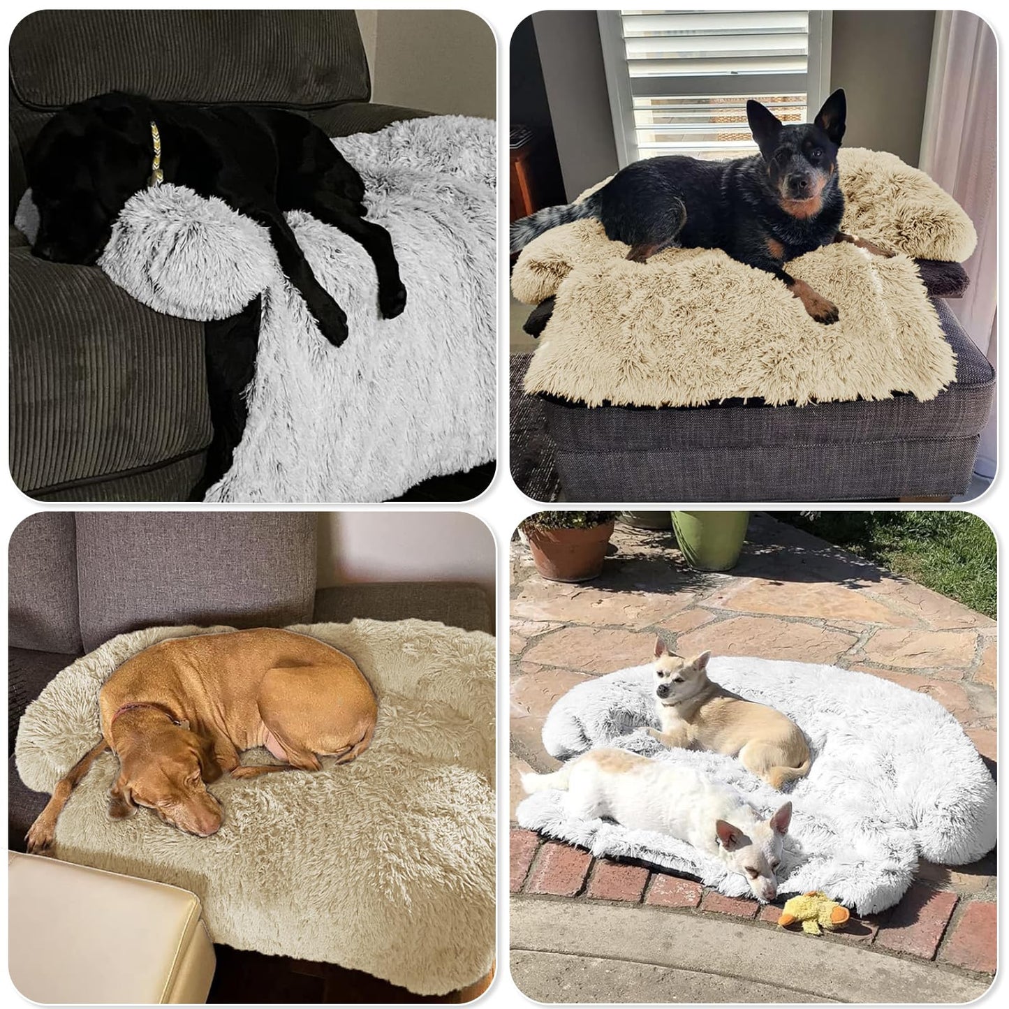 Calming Dog Bed Fluffy Plush Dog Mat for Furniture Protector with Removable Washable Cover for Large Medium Small Dogs and Cats (Large, Beige)