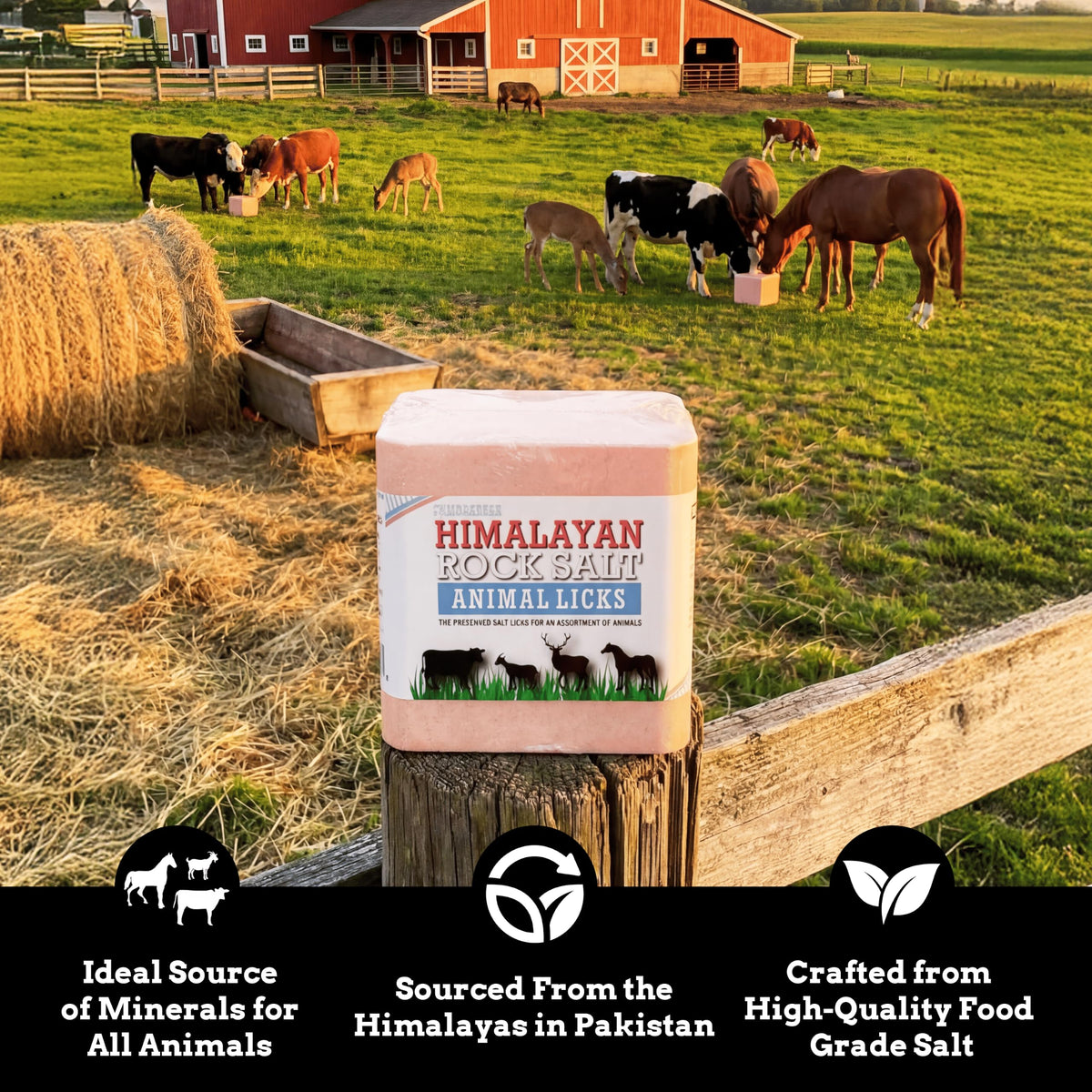 Salt Block for Deer & Horses – Compressed Mineral Salt Lick for Livestock, Cattle & Goats – Himalayan Secrets Pink Rock Salt Block (11LB/5KG, Block w/ Mounting Hole)