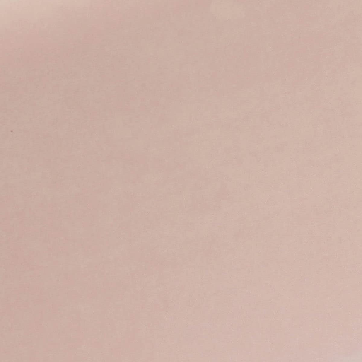 Tov Furniture Ziva Storage Bench (Blush)