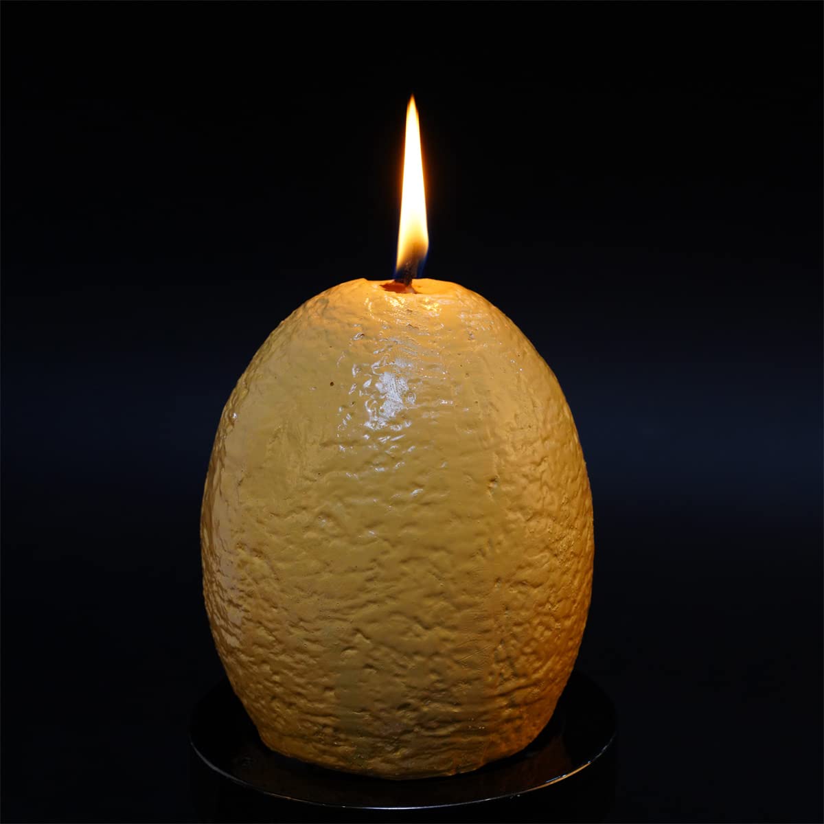 Hatching Dinosaur Eggs Candles