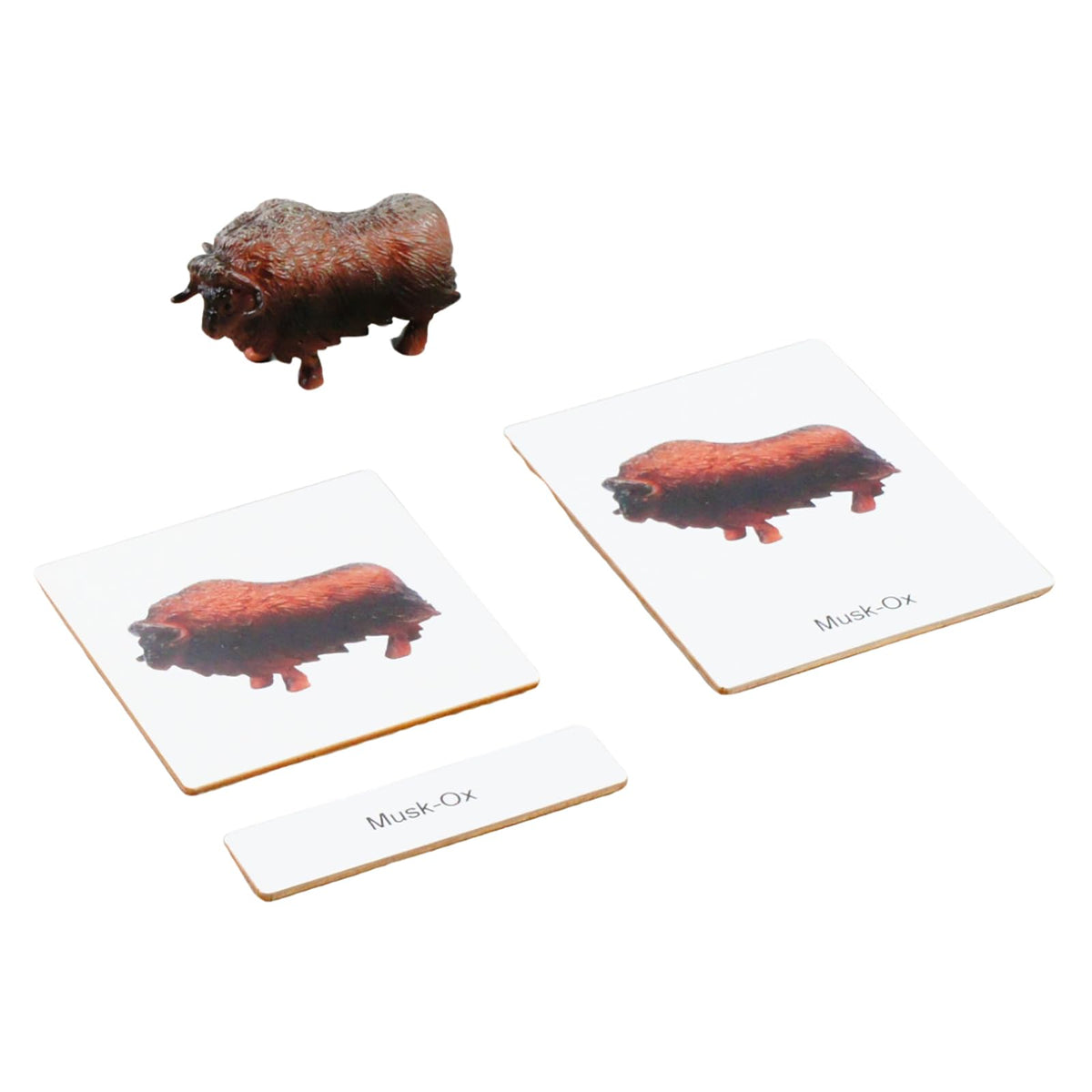 ancona Antarctic Animals, Spanish/English Bilingual, Montessori Preschool Memory Matching Game Box Set with Animal Figurines & 3-Part Cards, Early Education Toy