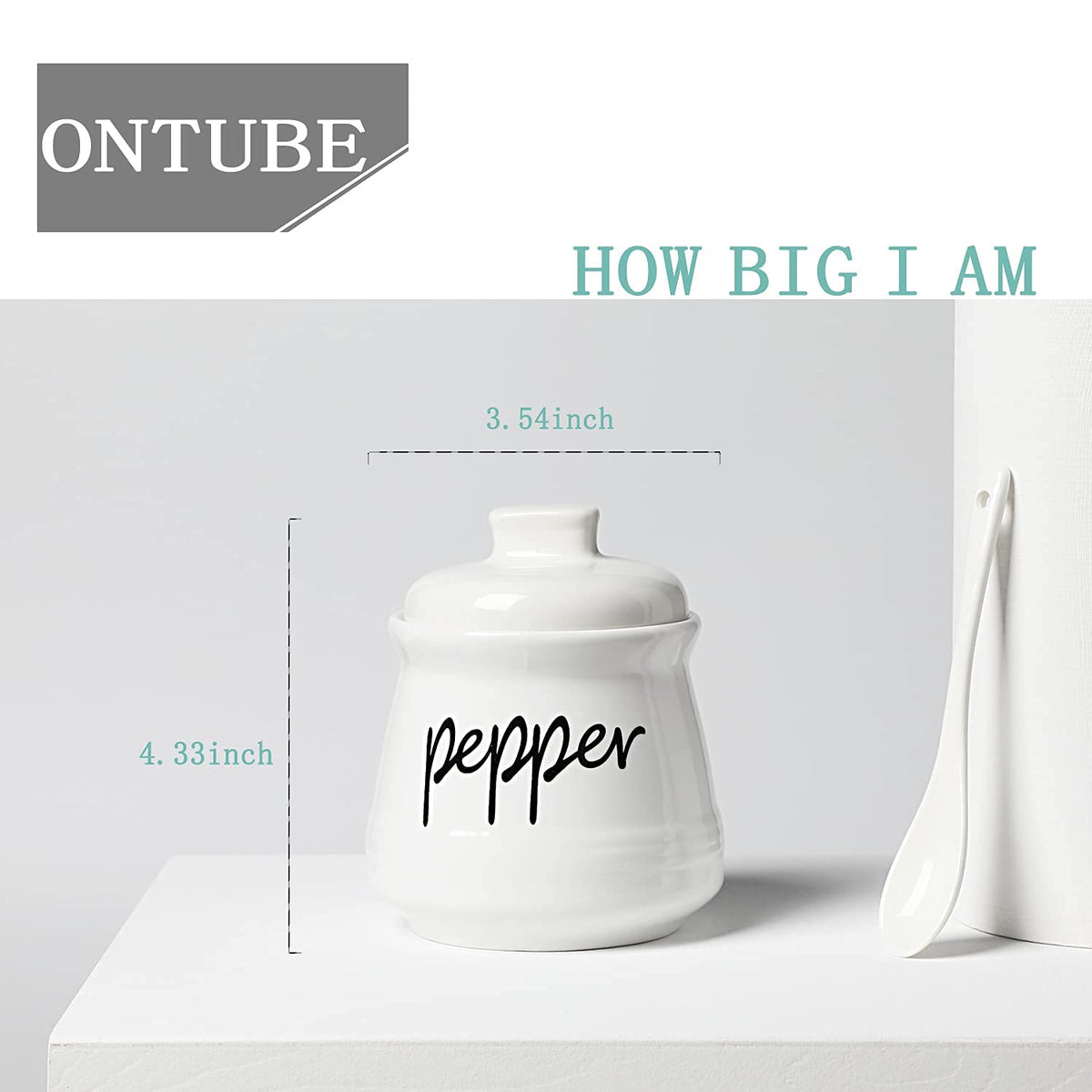 ONTUBE Ceramic Salt and Pepper Bowls with Lid and Spoon 12oz (White)