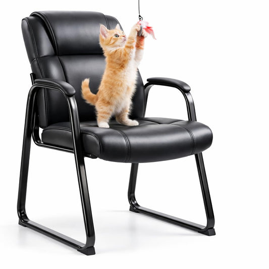 Zoolati Office Guest Chair, Leather Waiting Room Chair with Sled Base and Armrests, Reception Desk Chair No Wheels, Conference Room Chair for Office Lobby Clinic Home