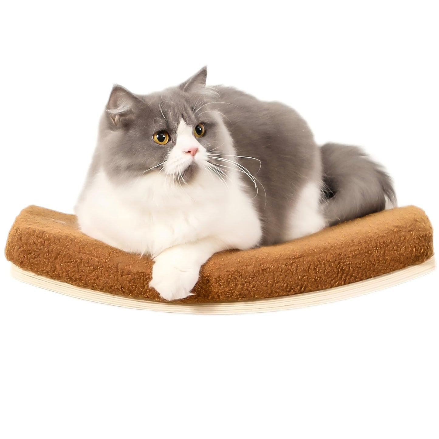 COOLEX Curved Cat Wall Shelves and Perches, Floating Cat Wall Bed Furniture with Comfortable Cushion