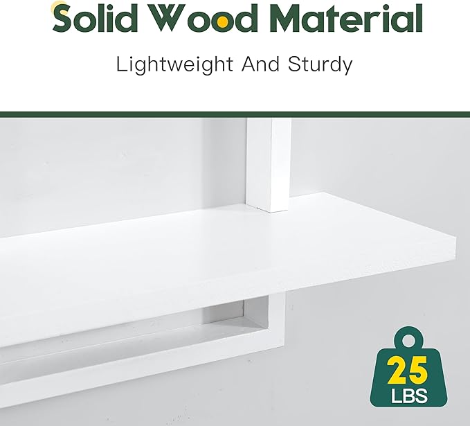PHOENANCEE Square Wall Shelf, Framed Floating Shelves Set of 2, Decorative