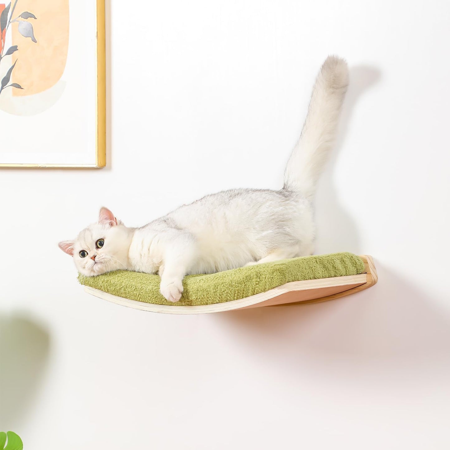 COOLEX Curved Cat Shelves and Perches, Floating Cat Wall Bed with Comfortable Cushion