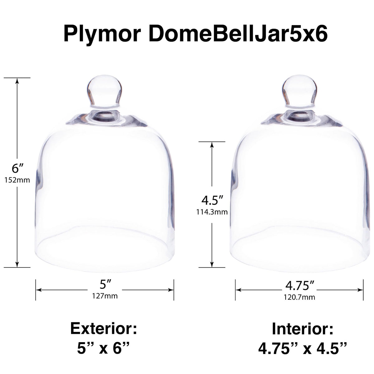 Plymor 5" x 6" Bell Jar Glass Display Dome Cloche (Interior Size 4.75" x 4.5")