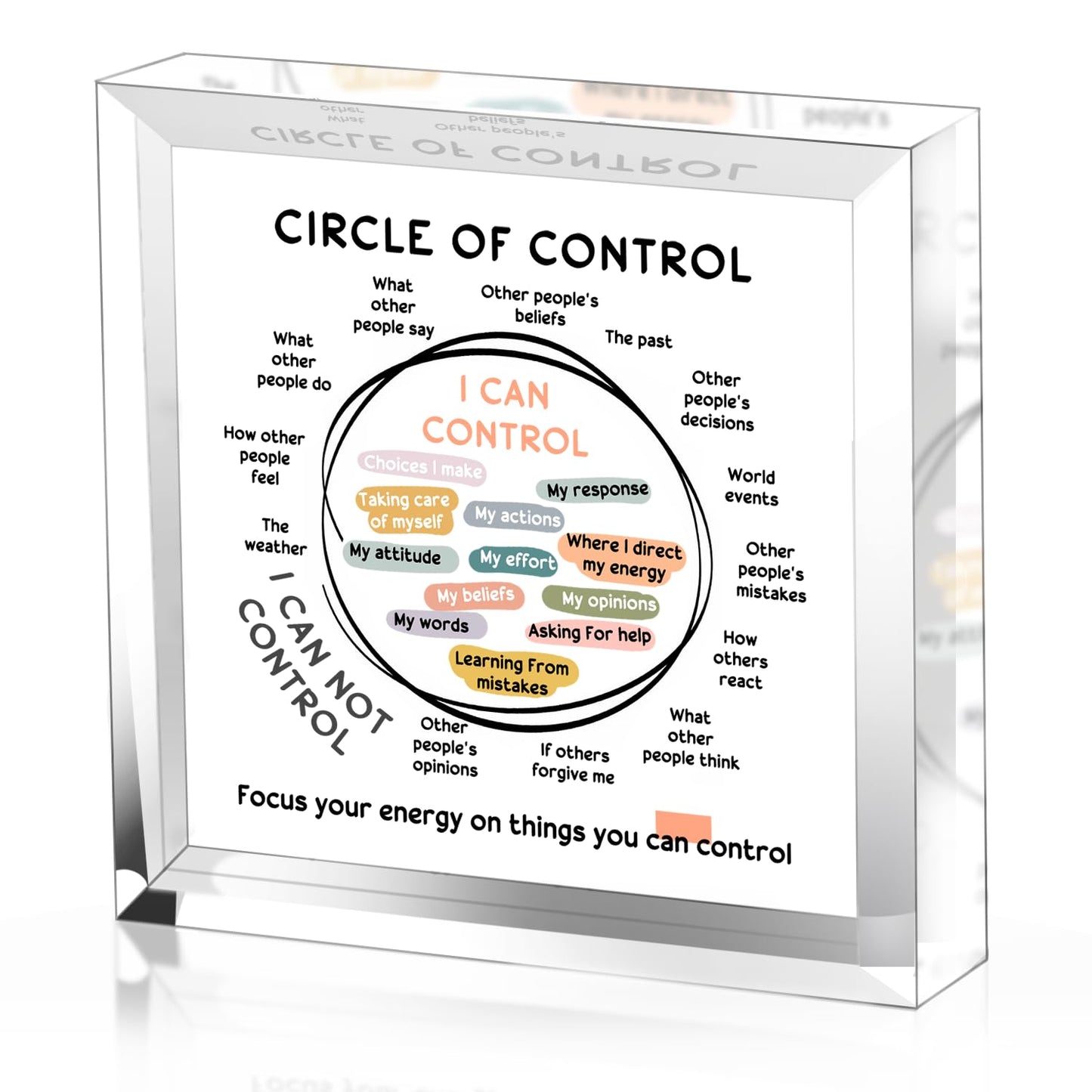 Mental Health Things I Can Control Decor - Therapy Office Acrylic Gifts - Psychology Art Decor for Treatment Room Office School Classroom - Art Decorations for Therapist Office Living Room Bedroom