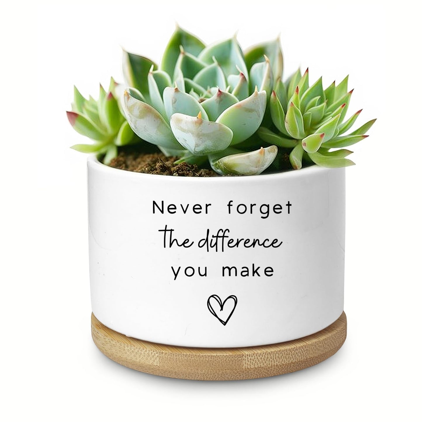 Aryabtya Cute Succulent Planter, Flower Cactus Plant Pot Gifts, Going Away Farewell Thank You Inspirational Employee Appreciation Gifts for Women Men Coworkers Boss Lady Manager (No Plants)