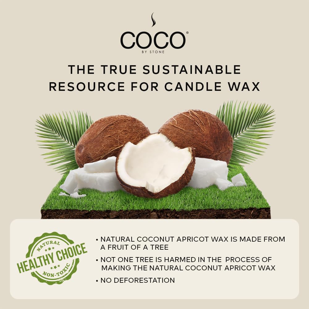 COCO by Stone 6.5oz Candle, Coconut Apricot Wax Candle for Home (Baies), Home Fragrance Product, 1-Wick Candle, Enhances Indoor Aroma, Vegan & Cruelty-Free, Clean Burning, Hand-Poured