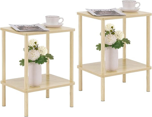 Apicizon 2 Tier End Table Set of 2, Small Side Table