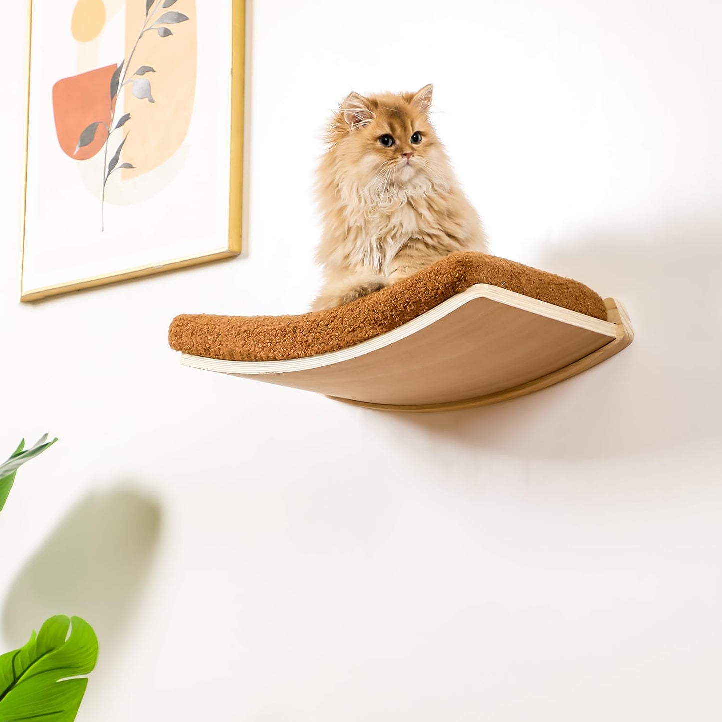 COOLEX Curved Cat Wall Shelves and Perches, Floating Cat Wall Bed Furniture with Comfortable Cushion