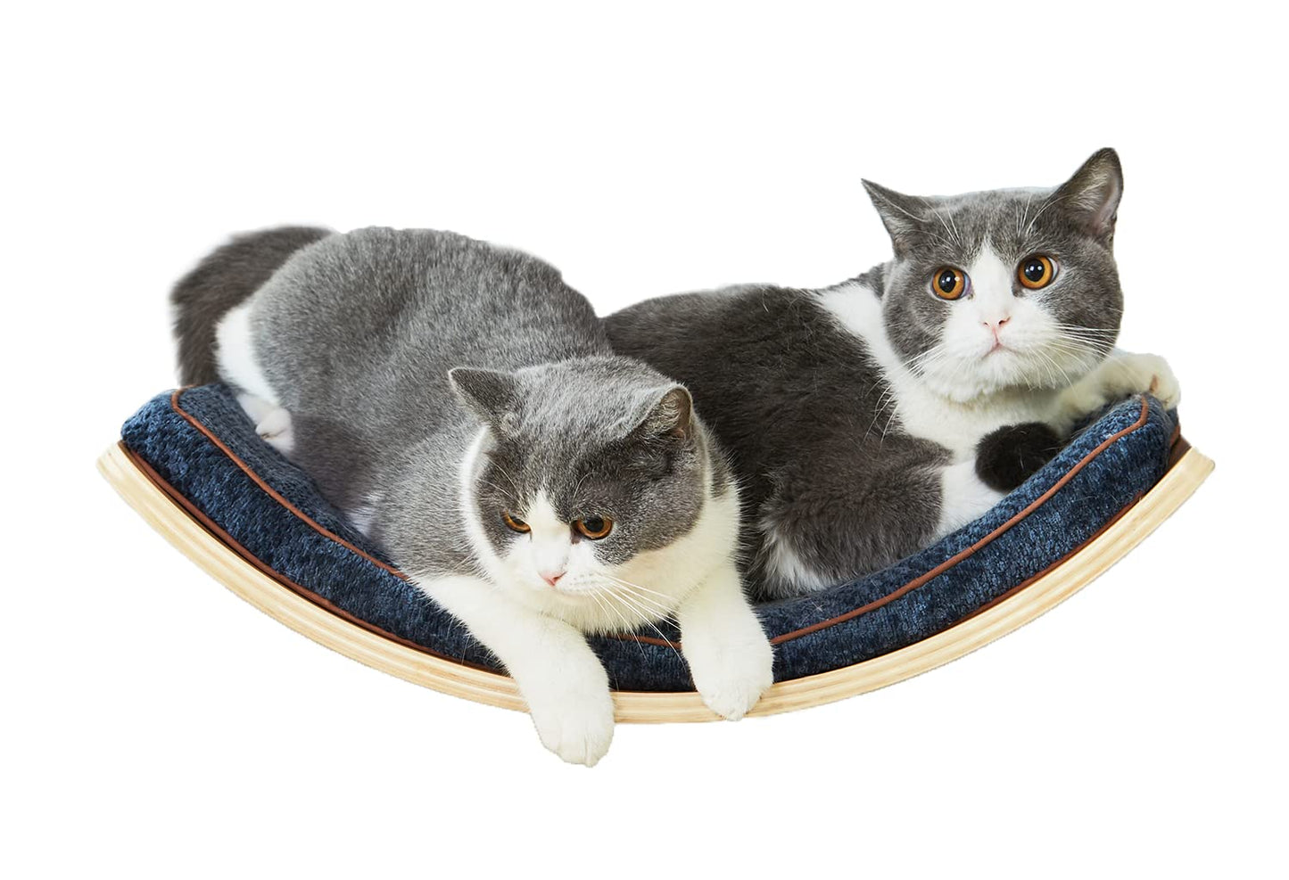 LIORCE Cat Shelf with Comfortable Cushion - Curved Modern Cat Bed (Large Size) - Lotus Leaf Design Cats Wall Perch - Wall Mounted Cats Furniture for Sleeping, Playing, Climbing, and Lounging