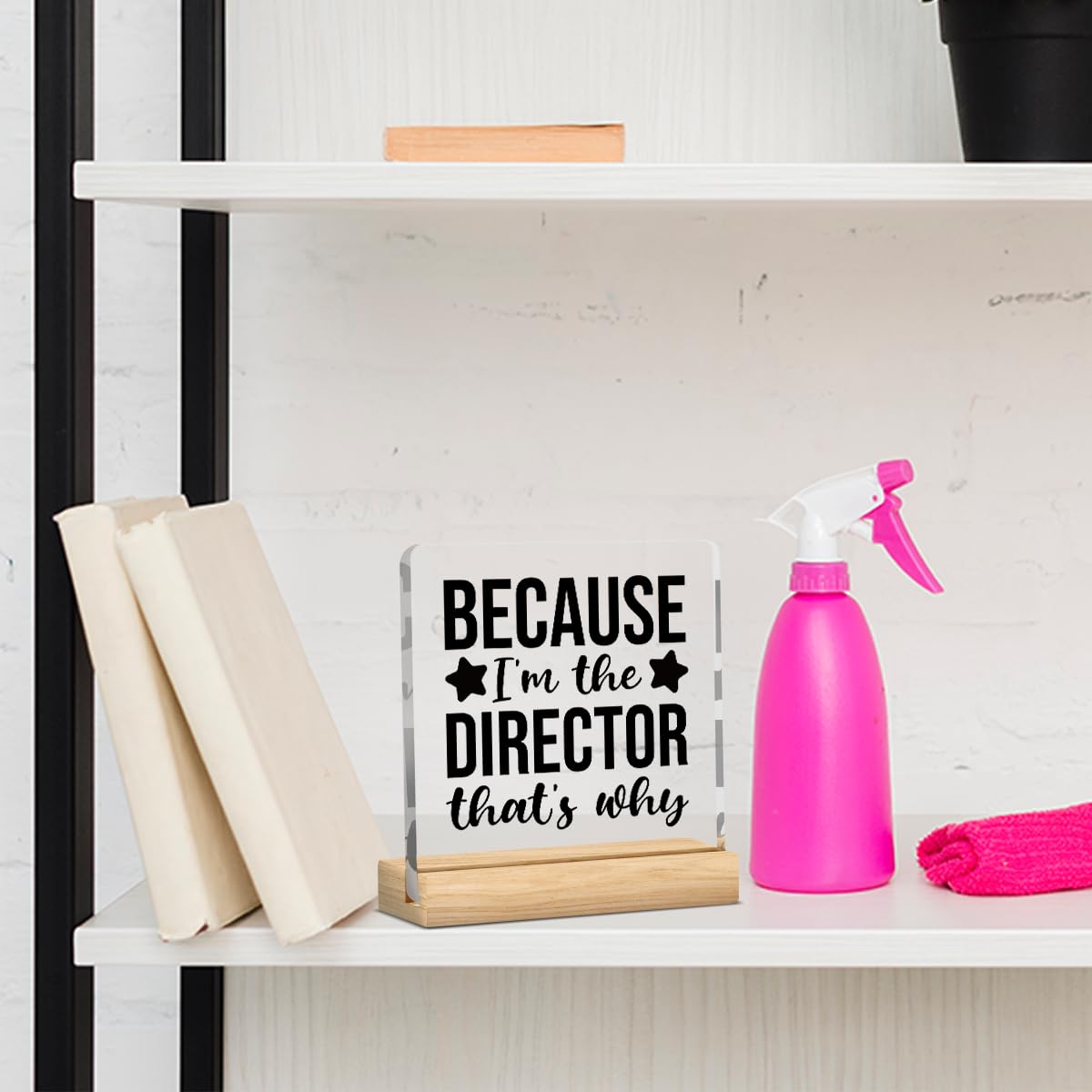 Director Gifts, Theatre Activity Director Gifts, Gifts for Director Filmmaker Day, Drama Gift Office Home Desk Shelf Decor Acrylic Sign