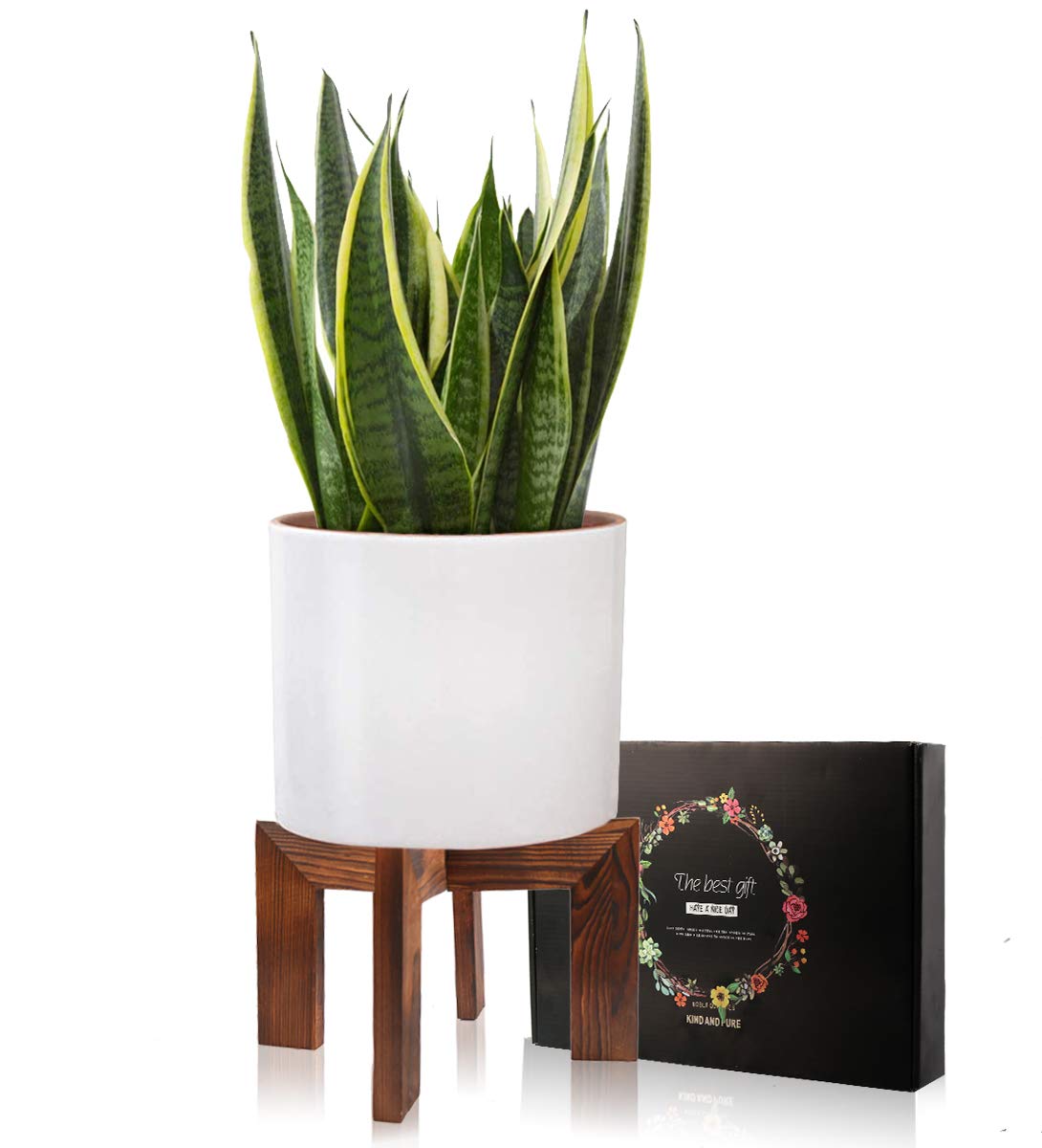 Gendral Forwepup Wood Plant Stand, Mid Century Modern Planter, Rattan Flower Pot Stand, Low Short Plant Stands for Indoor - Boho Rustic Wooden Stool for Plant Pot Holder, Fit 5-15 Inch Pot