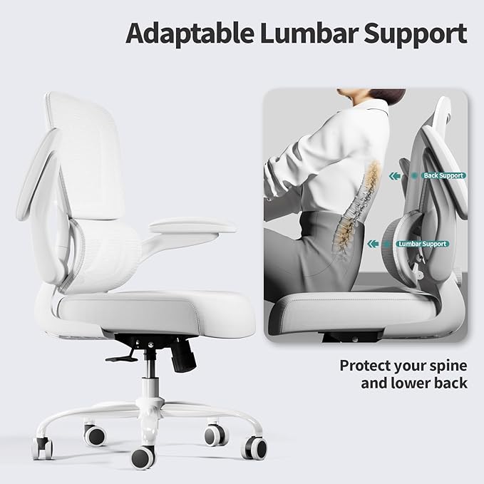 Office Chair - Ergonomic Desk Chair