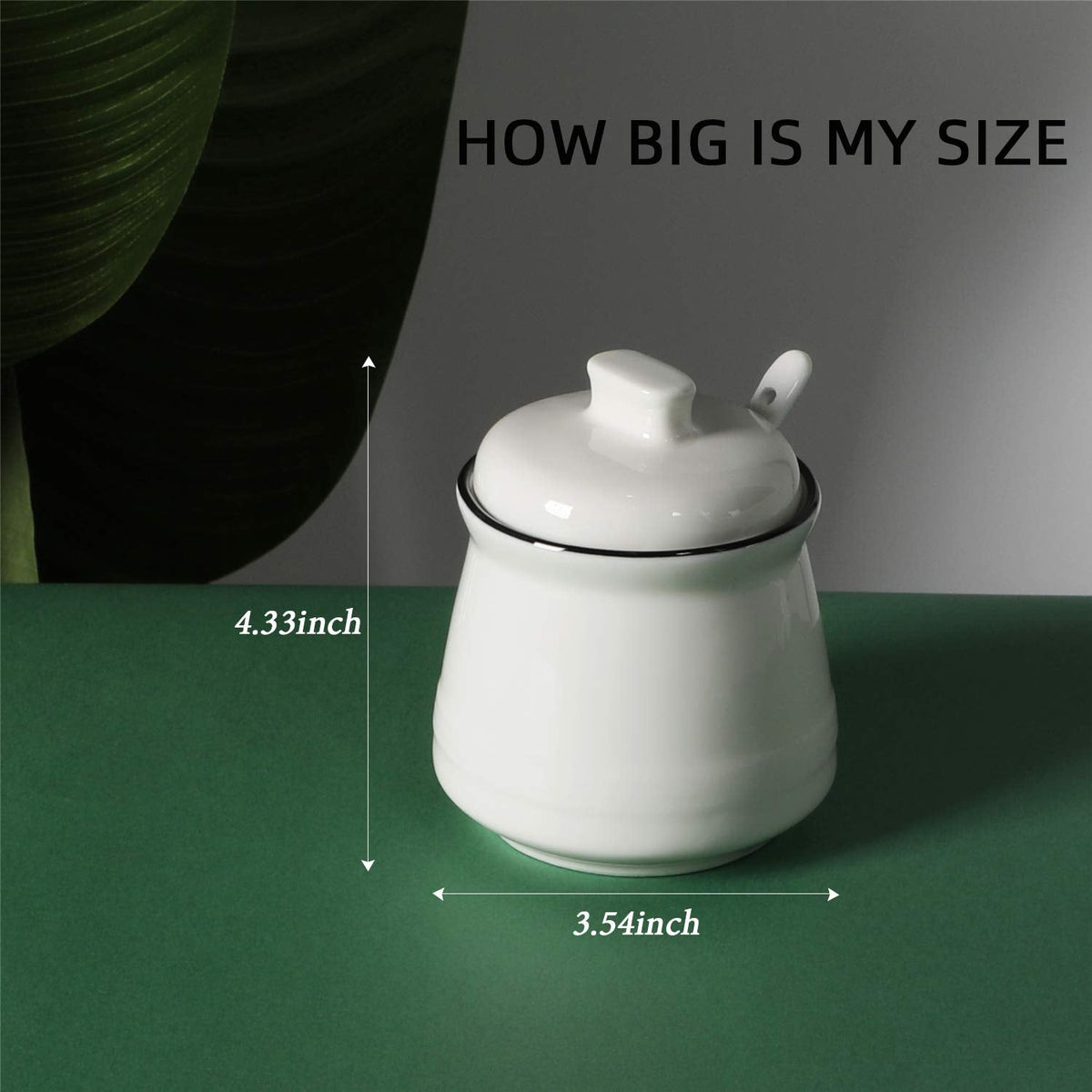 HAOTOP Porcelain Salt Bowl with Lid and Spoon,Ceramic Sugar Bowl 12oz (White)