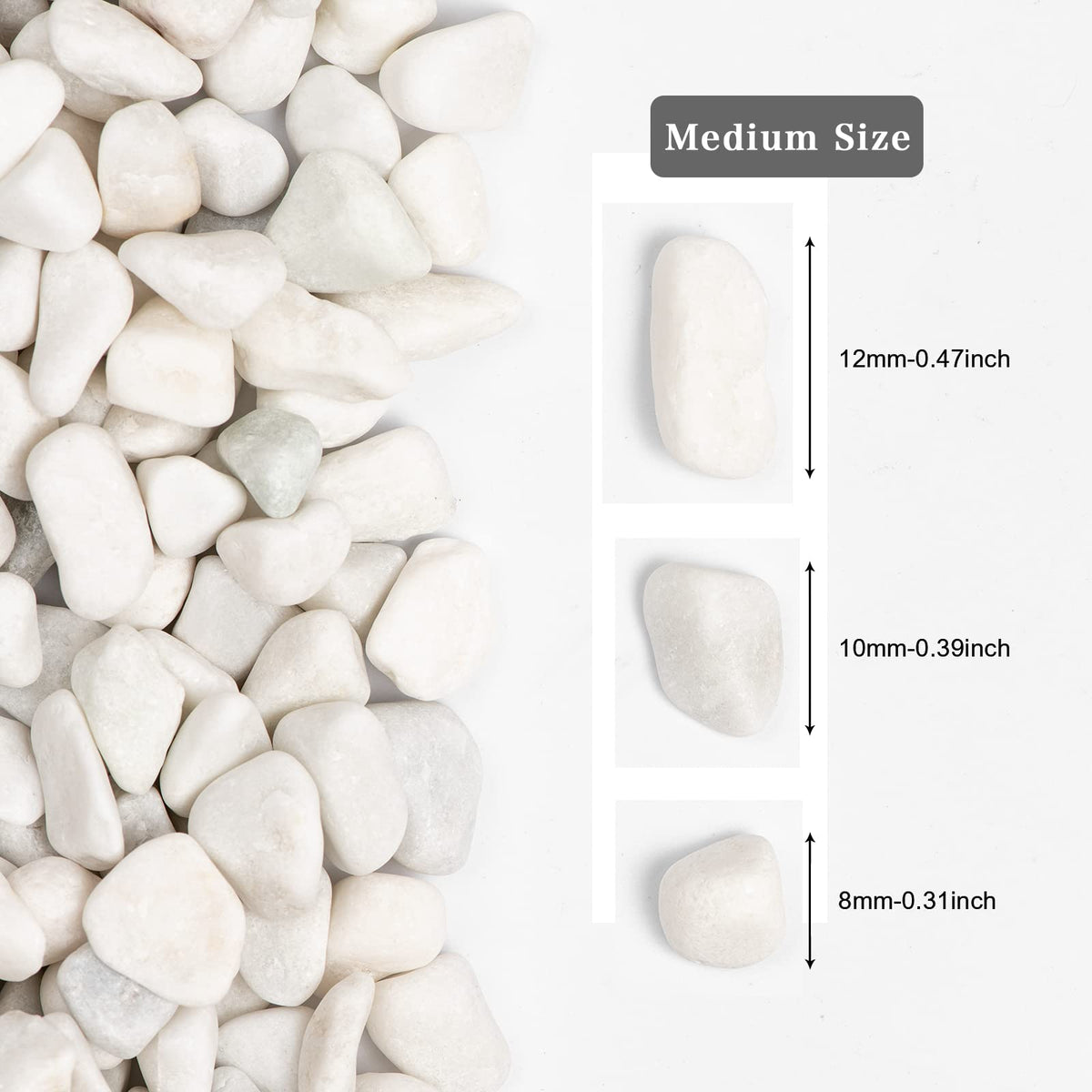 Ausluru 5lbs White Natural River Rocks, Polished Pebbles for Plants Garden, 0.3-0.8 inch Decorative White Stones, Ideal for Fish Tank, Vases, Crafting, Home Decor and Garden Landscaping Rocks,White