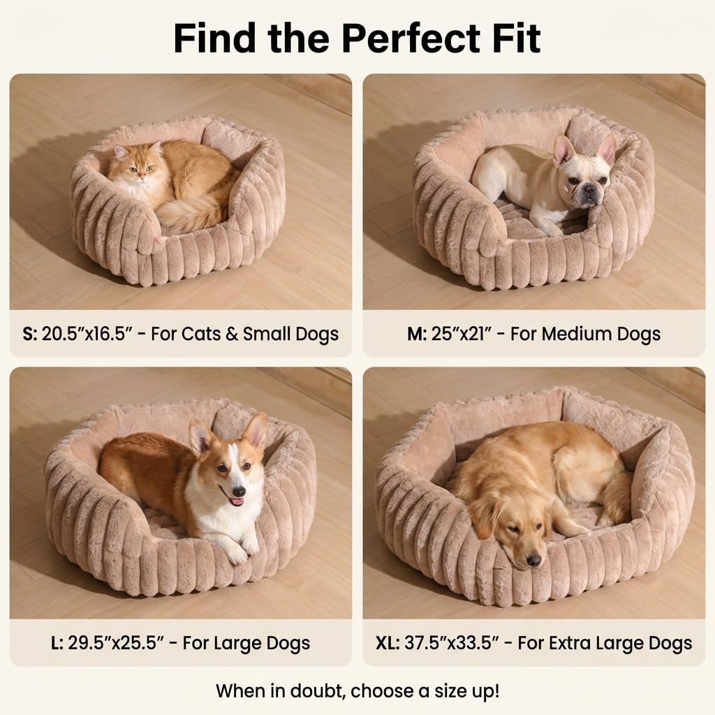Donut Dog Bed, Cat Bed Kitten Bed, Washable Round Cat Beds for Indoor Cats, Soft Thickened Kitten Beds for Indoor Kittens, Anti-Anxiety Calming Pet Bed with Non-Slip Bottom (Small)