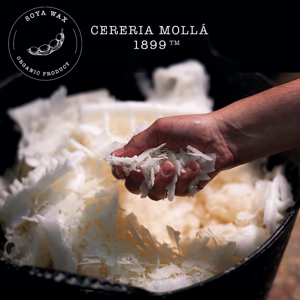 CERERA MOLLA 1899 | Mini Verbena di Sicilia Candle | Aromatic 1 Wick | 20 Hours Burn Time | Natural Fragrances | Recyclable Packaging | Artisan