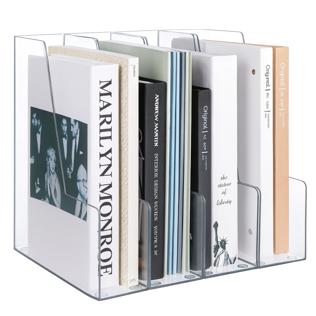 LALOBLUE Vertical Magazine File Holder, Clear, 4 Pack