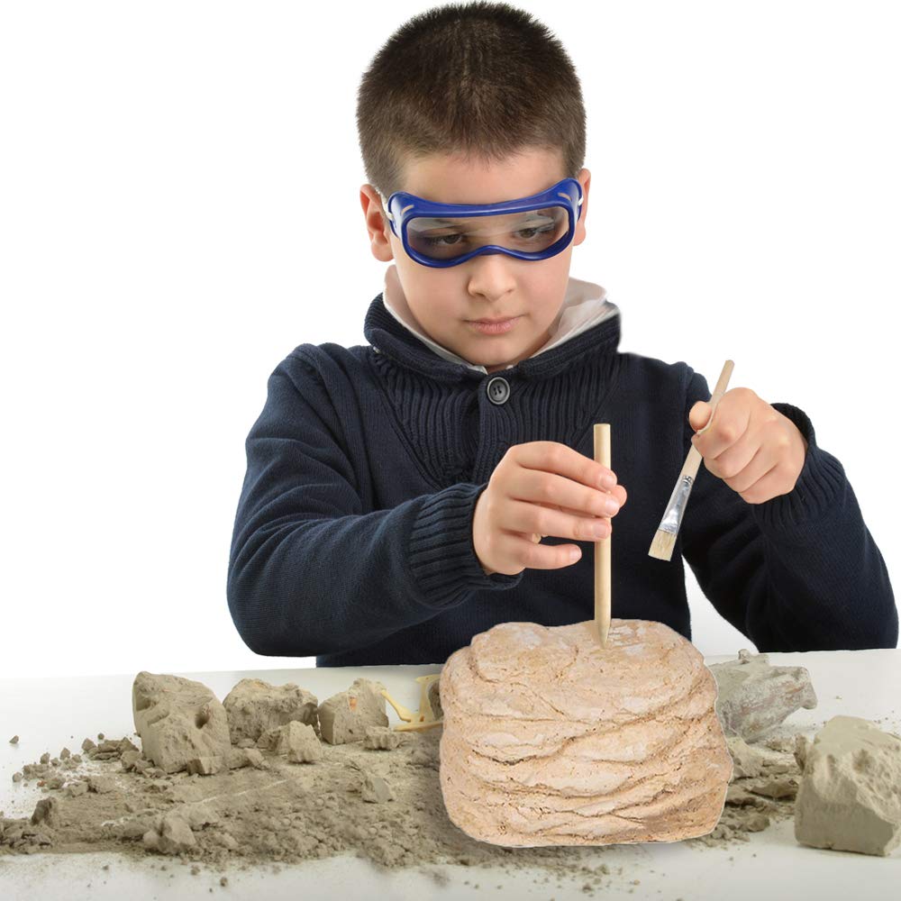 ArtCreativity Dinosaur Excavation Kit for Kids, 5.5” Stegosaurus Skull Excavating Set with Fossil Digging Tools and Stand, Fun Science Activity Toy, Educational Dinosaur Gift for Boys and Girls