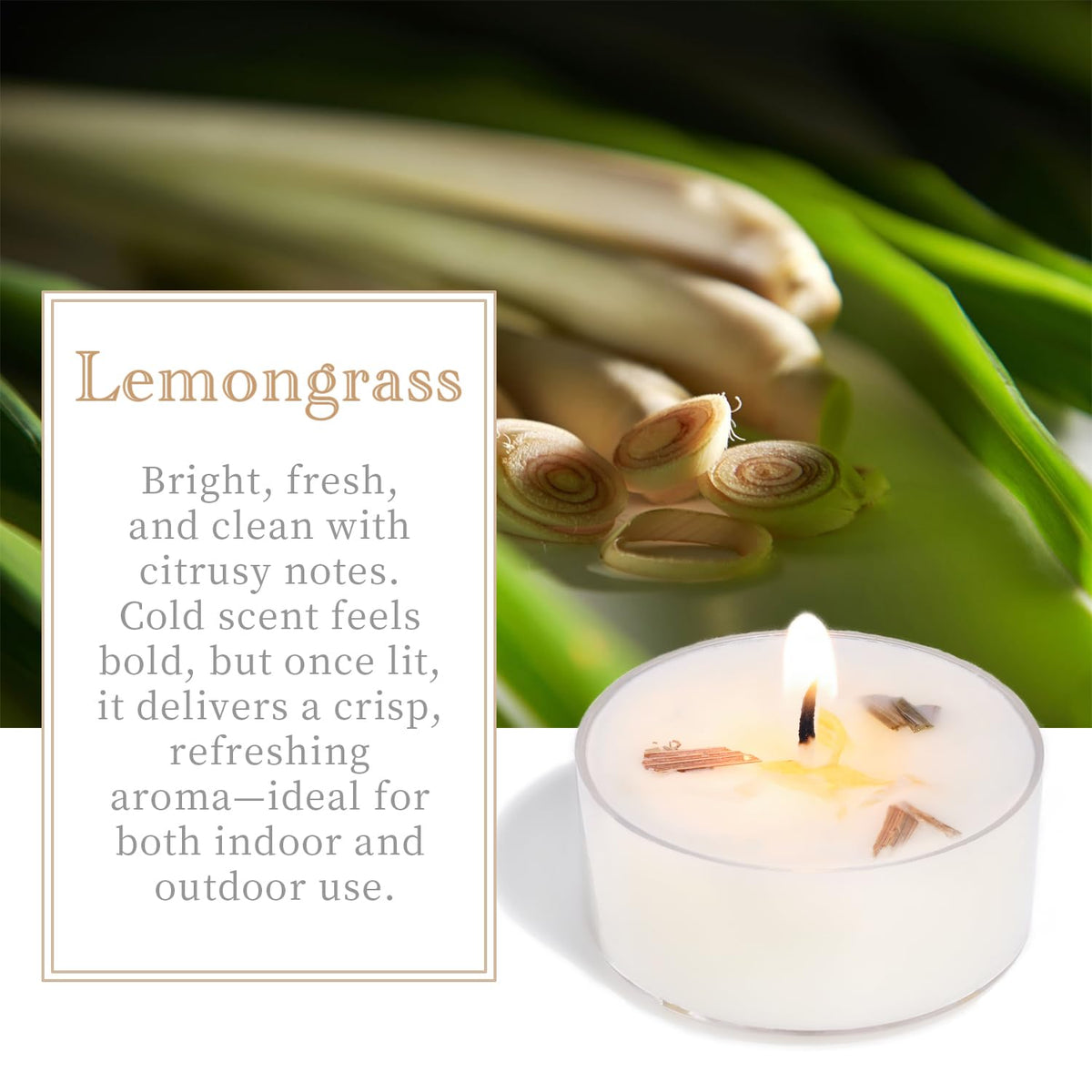 Citronella Tea Light Candles Outdoor, 8 Pack- Extended 4-5h Clear Cup Scented Tealight Candles with Handmade Floral Surface, 100% Natural Palm Wax Tealights Smokeless for Patio, Summer, Indoor