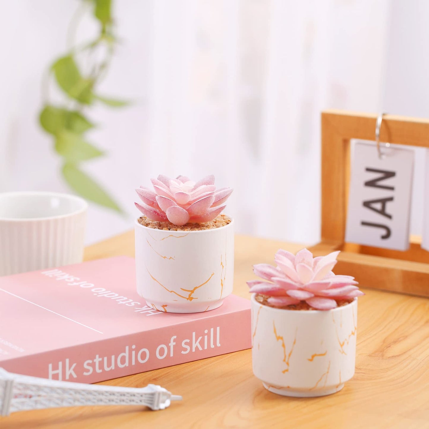 ZENIDA Artificial Plants and Succulents in 2 White Ceramic Pots,Small Fake Plants for Office and Desk Decor,Bathroom, Bedroom,Shelves for Women