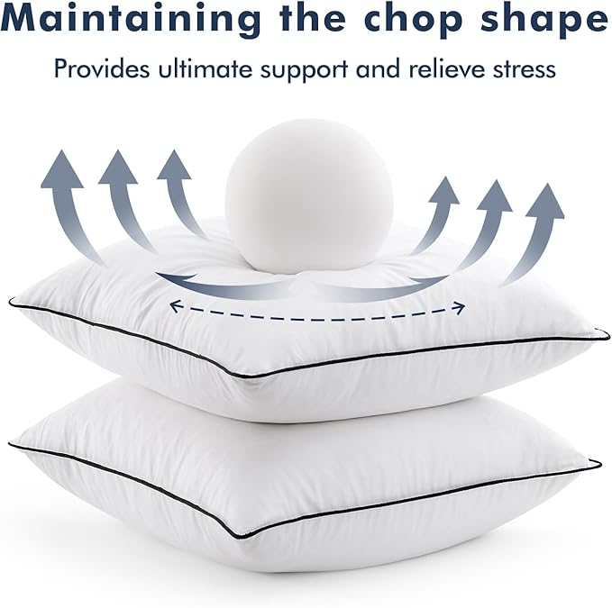 MIULEE Goose Feather Down 28x28 Euro Pillow Insert Set of 2