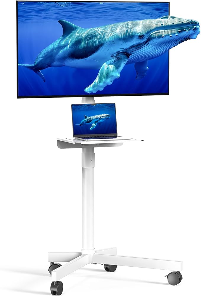Mobile TV Cart for 23-60 Inch LCD LED OLED Flat Curved Screen TVs