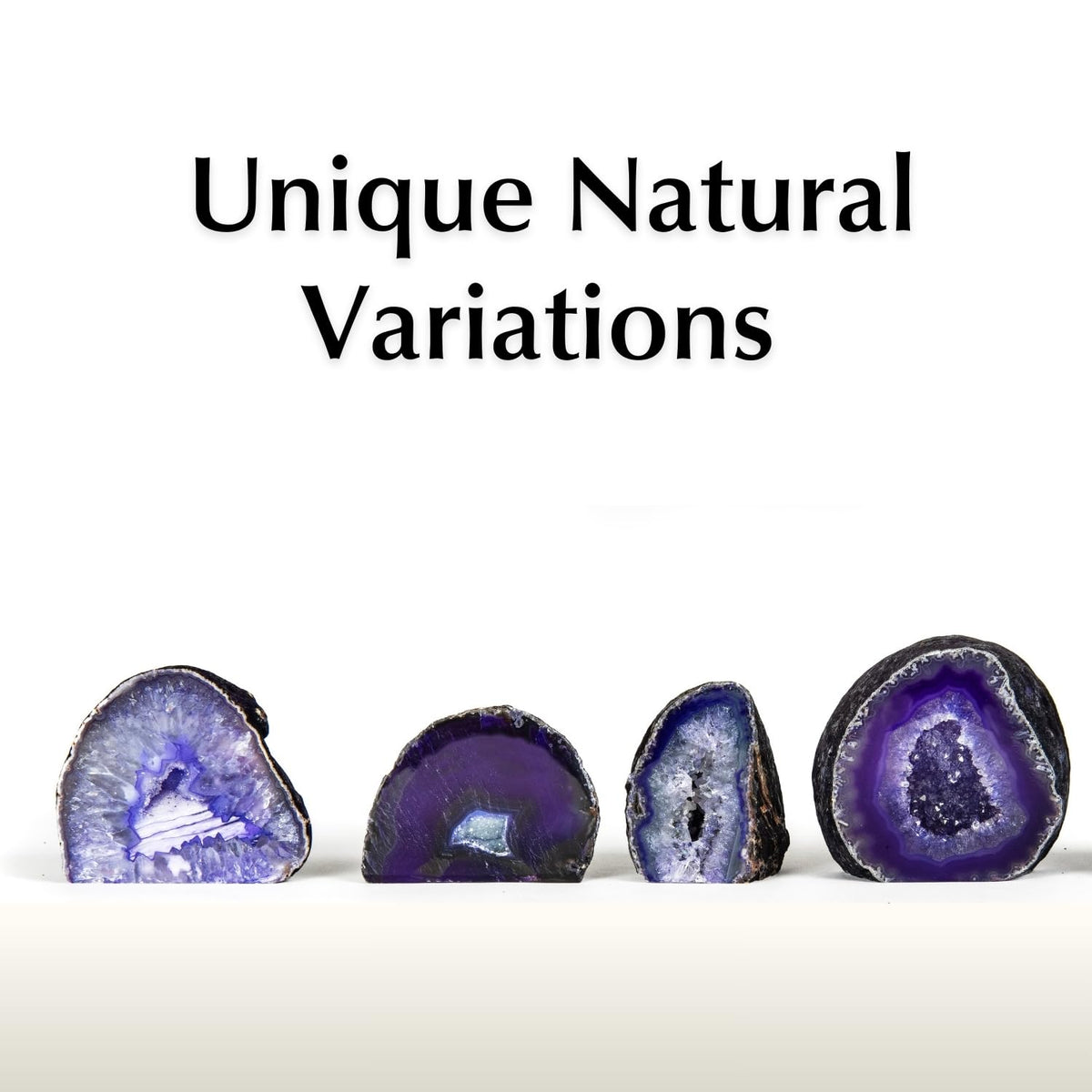Fossil Gift Shop 2-3" Agate Geode (Purple)
