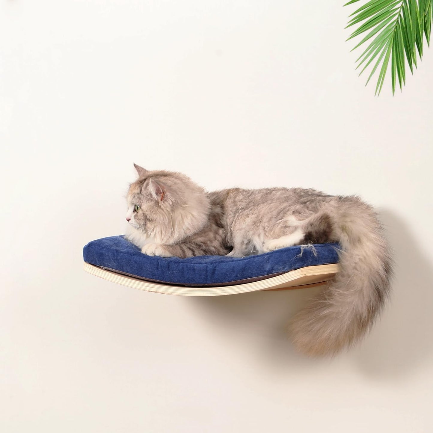 COOLEX Curved Cat Shelves and Perches, Floating Cat Wall Bed with Comfortable Cushion