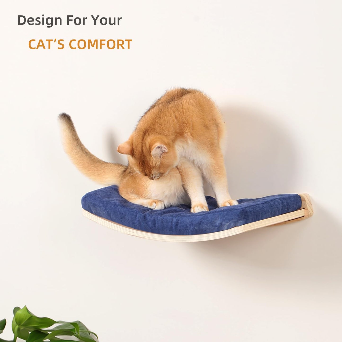 COOLEX Curved Cat Shelves and Perches, Floating Cat Wall Bed with Comfortable Cushion
