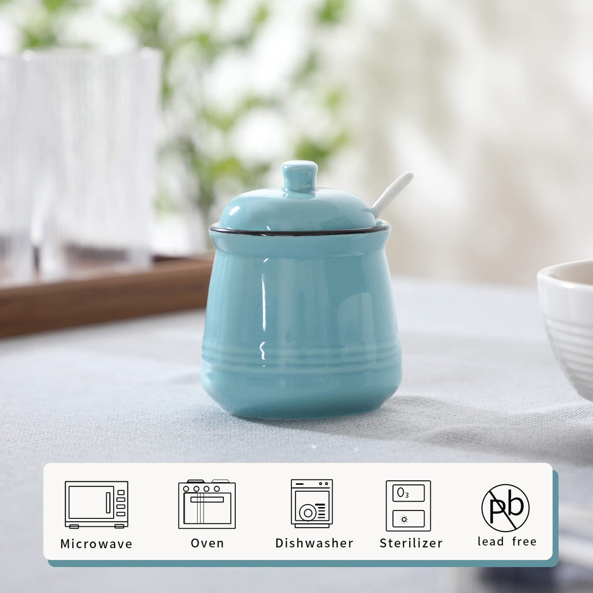 HAOTOP Porcelain Salt Bowl with Lid and Spoon,Ceramic Sugar Bowl 12oz (Turquoise)
