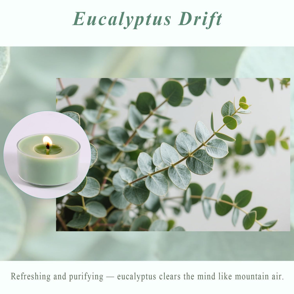 Eucalyptus Drift Scented Tea Lights Candles – Grayish Green – 6 Hour Burn – 100% Palm Wax – Scented Tealight Candles for Winter Holidays, Christmas Calm, Spa Vibes – 16 Pack Scent Votive Candle