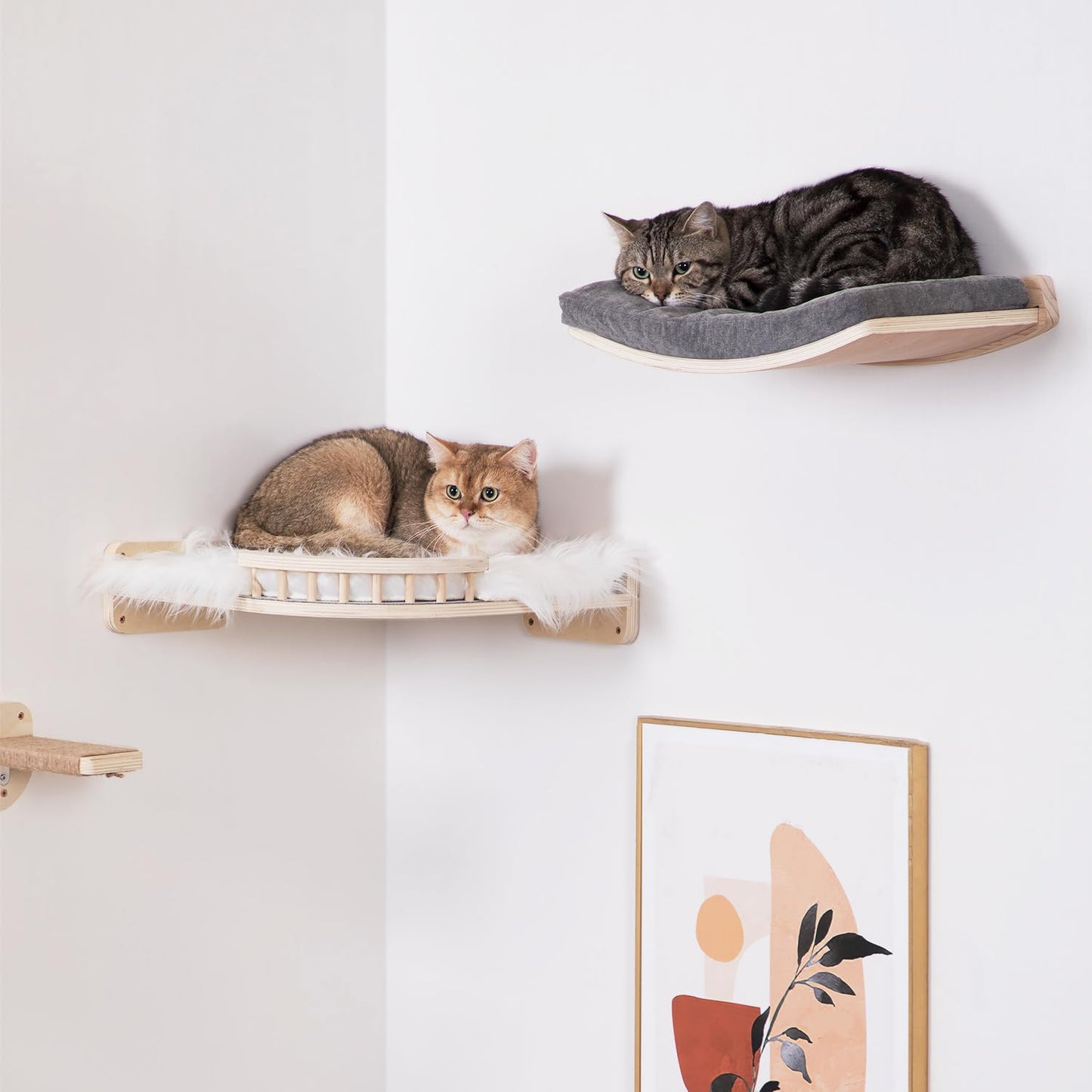 COOLEX Curved Cat Shelves and Perches, Floating Cat Wall Bed with Comfortable Cushion