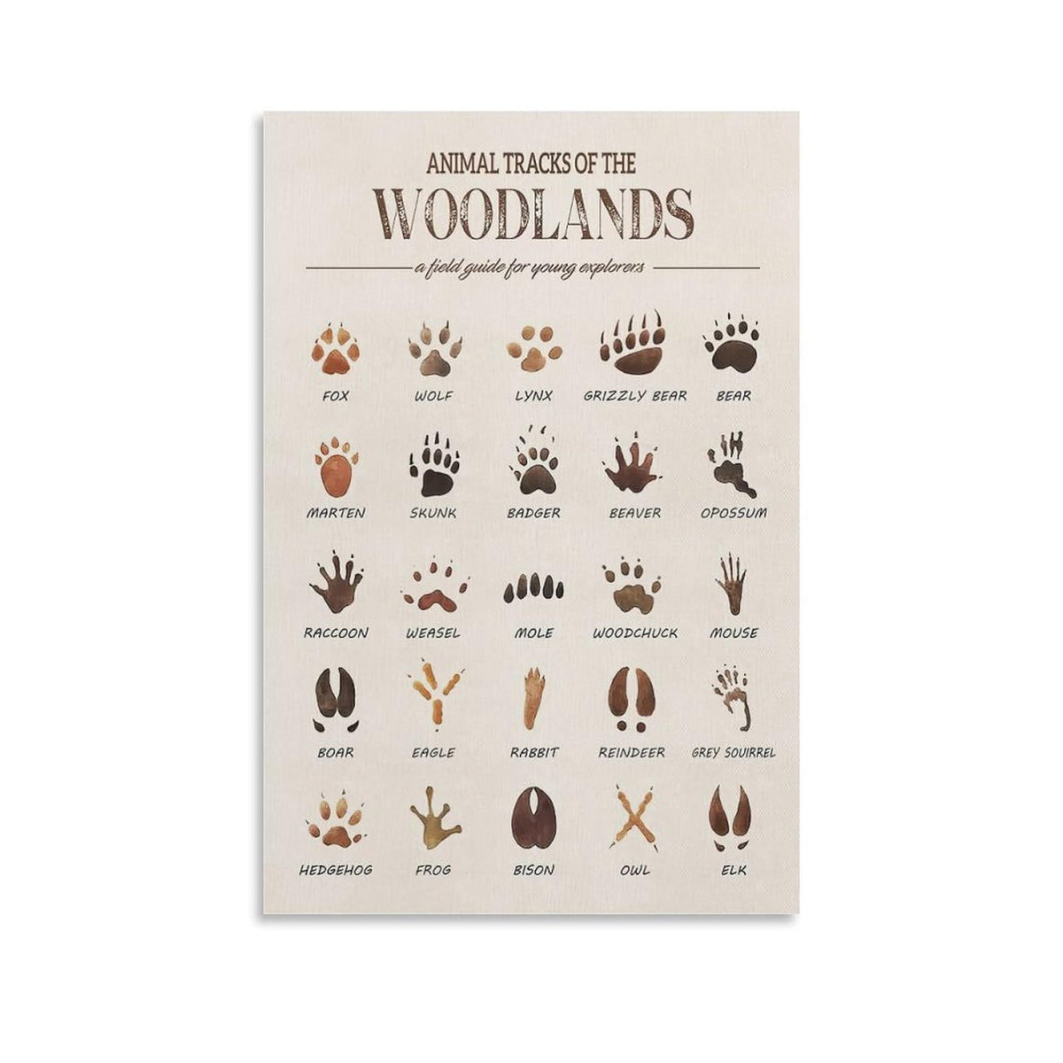 MAIHAIBAO Woodland Animal Tracks Canvas Wall Art - Educational Forest Field Guide Poster - Rustic Nature Nursery & Kids Room Decor - 12x18 Inch (Unframed)