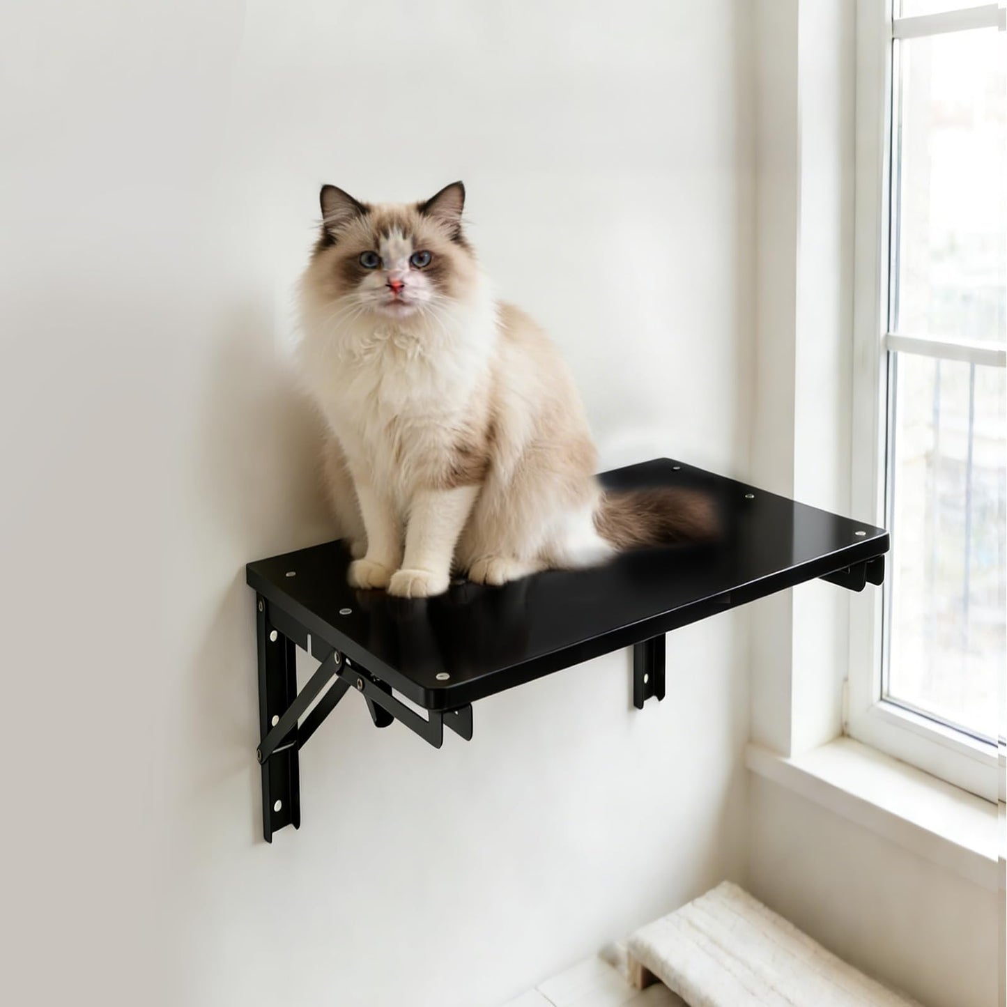 IDUNSEED Folding Shelf Wall Mounted for Small Space, Black Wall Table for Living Room Bedroom Decor, Home Office Floating Fold Down Desk, Media Shelves with Heavy, 16.5"*11.8"